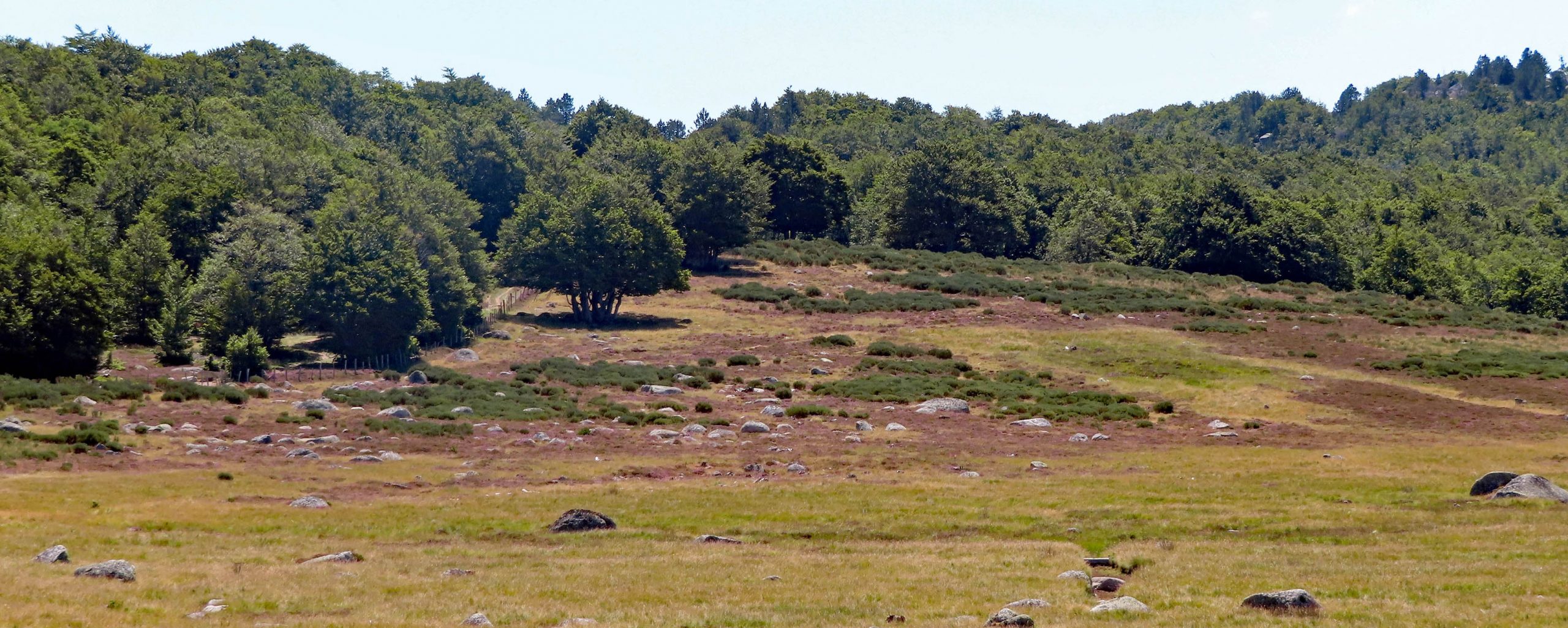 Le Mas de la Barque et le Mont Lozère