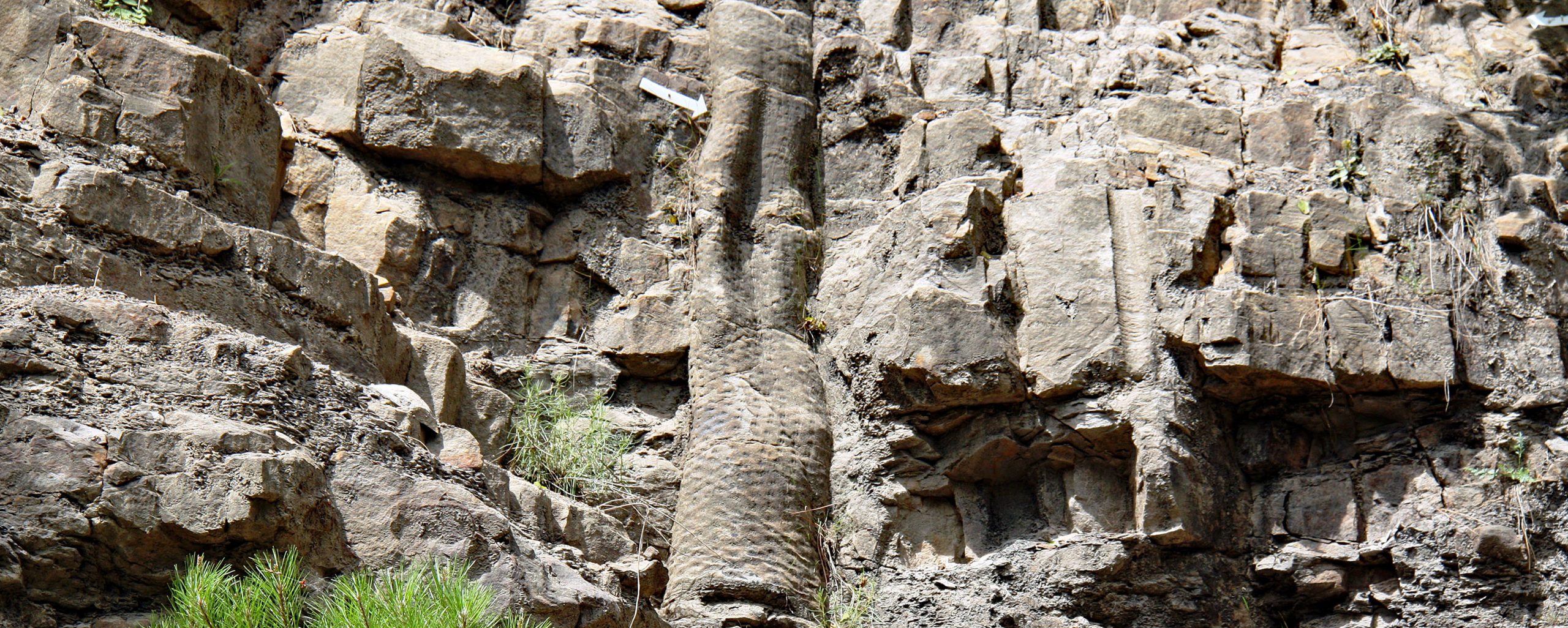 La faille des Cévennes et le bassin houiller d’Alès-La Grand Combe