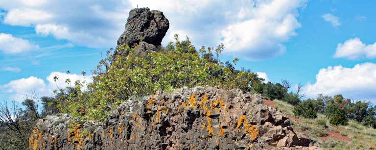 Autour du Salagou, du Larzac à la Méditerranée
