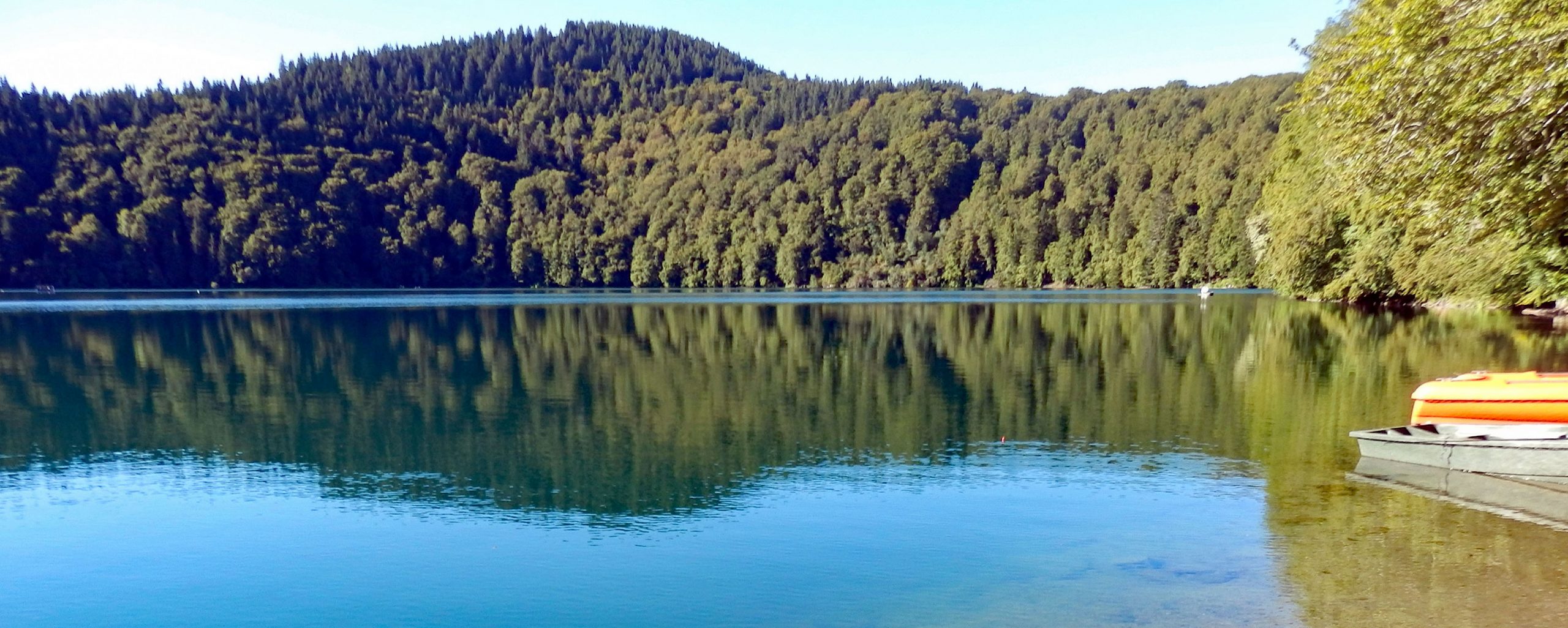 Le « groupe Pavin » et le Cézallier