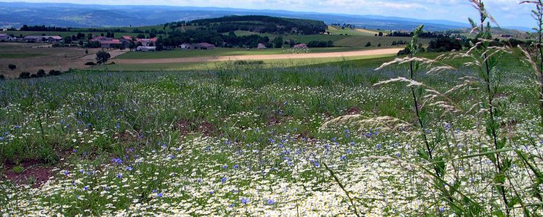 La haute Lozère, voyage au pays des sources