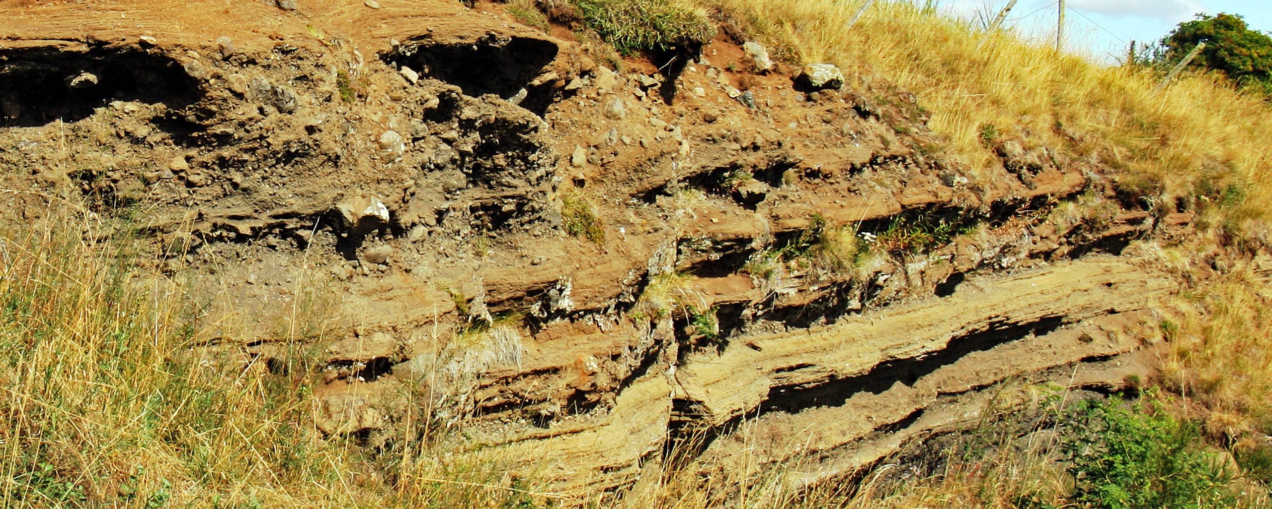 Les volcans du plateau du Devès