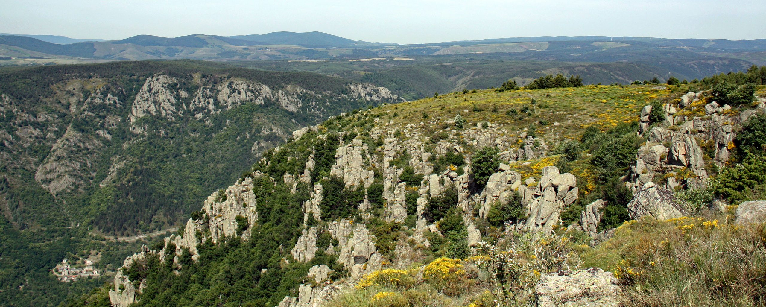 Les Assions et le plateau de Montselgues