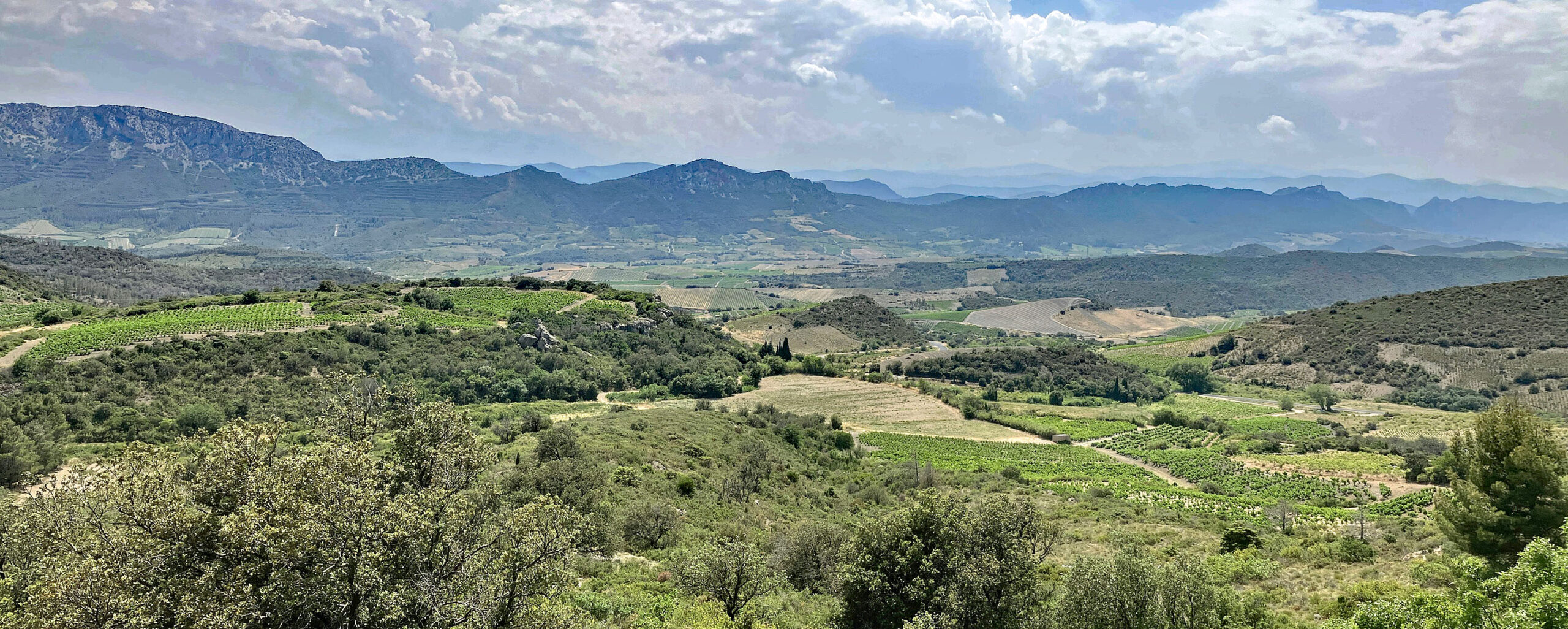 Les hautes Corbières et le Fenouillèdes